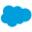 Salesforce Platform